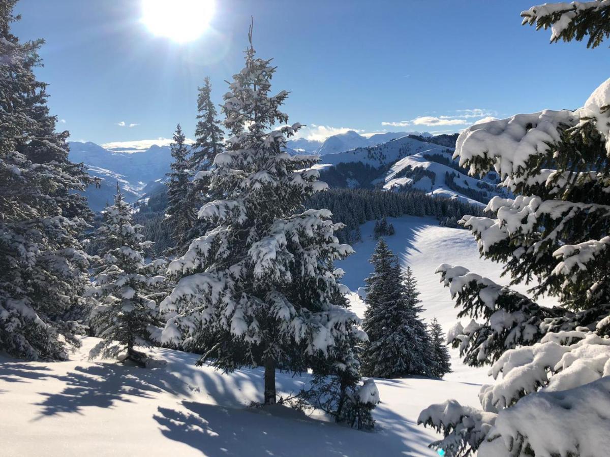 Chalet L'Escapade Charmey Dış mekan fotoğraf